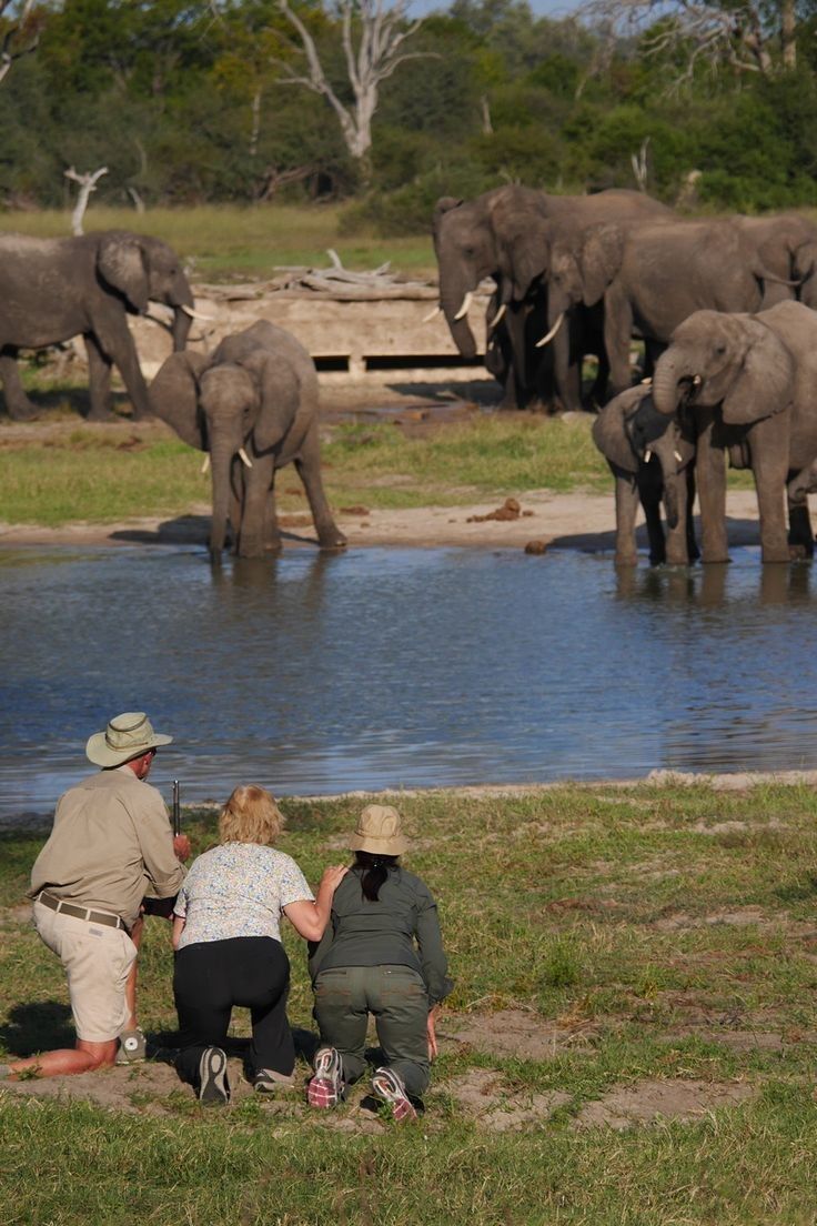 Hwange National Park